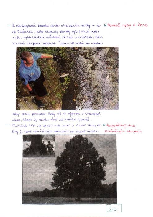 kr03_210.jpg kr03_210.jpg