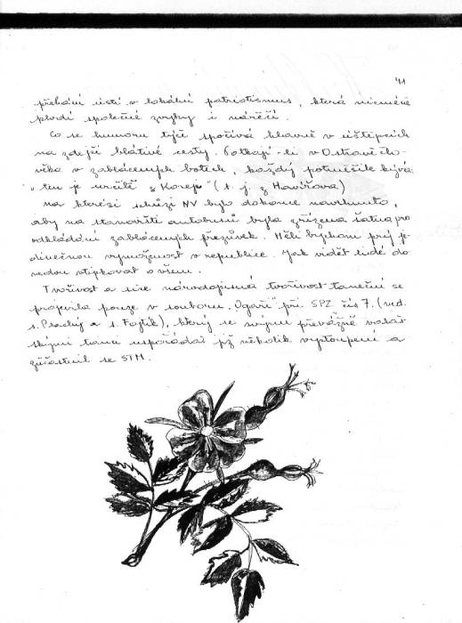 kr56_041.jpg kr56_041.jpg