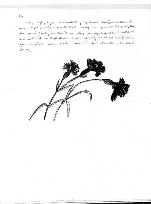 kr56_022.jpg kr56_022.jpg